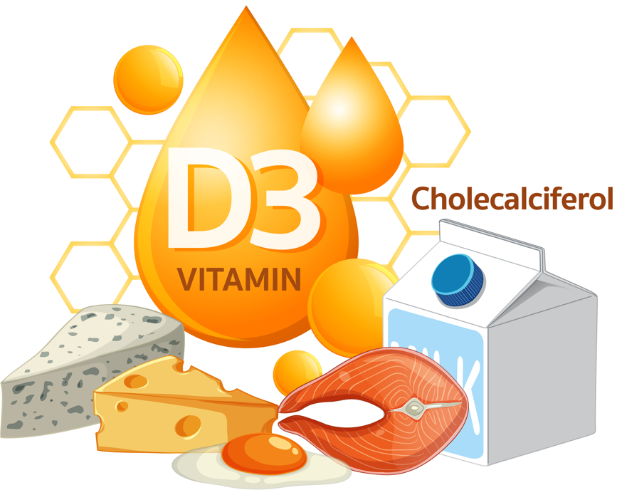 Surse de vitamina D3