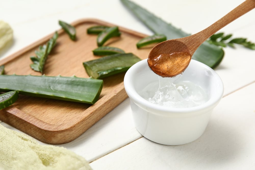 aloe_vera_durere_de_masea