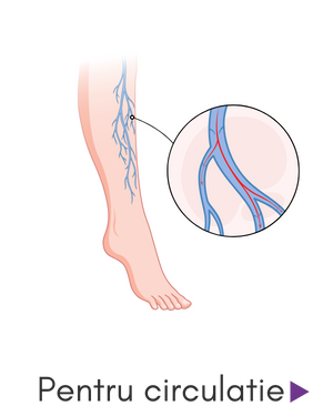 slide4