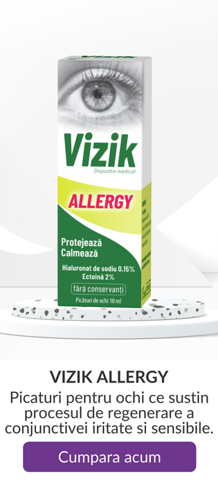 Vizik