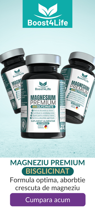 Boost4life Magneziu