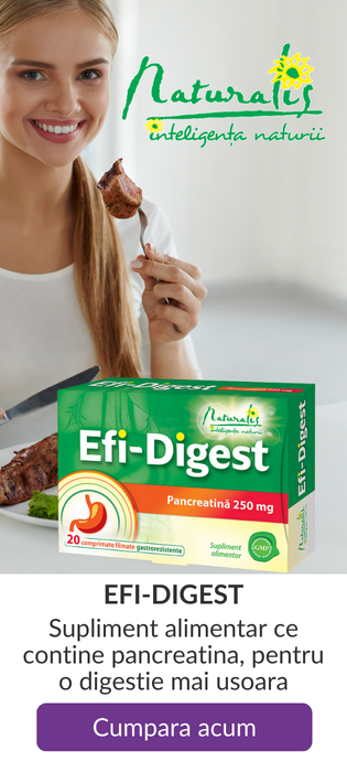 Efi-Digest