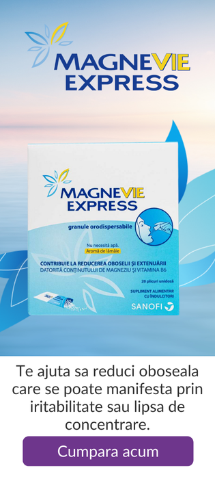 Magnevie Express