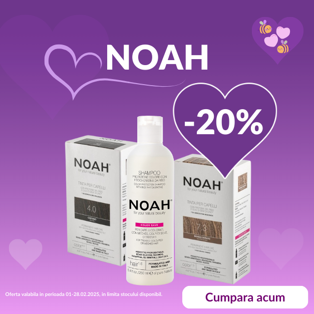 Noah