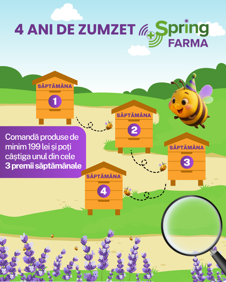 4 ani de Zumzet Spring