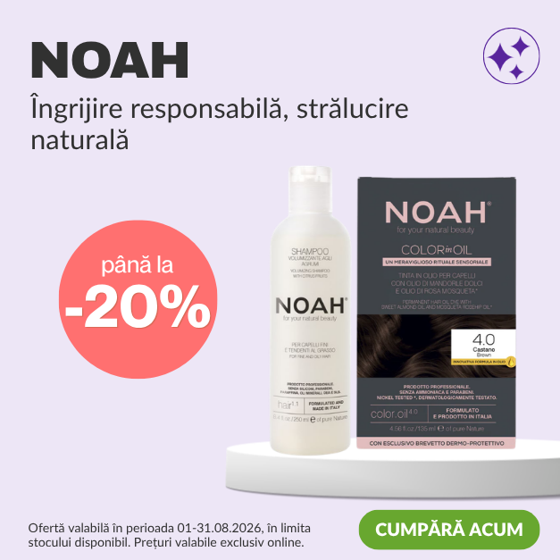 Noah
