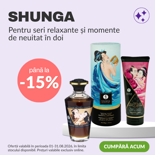 Shunga Erotic Art