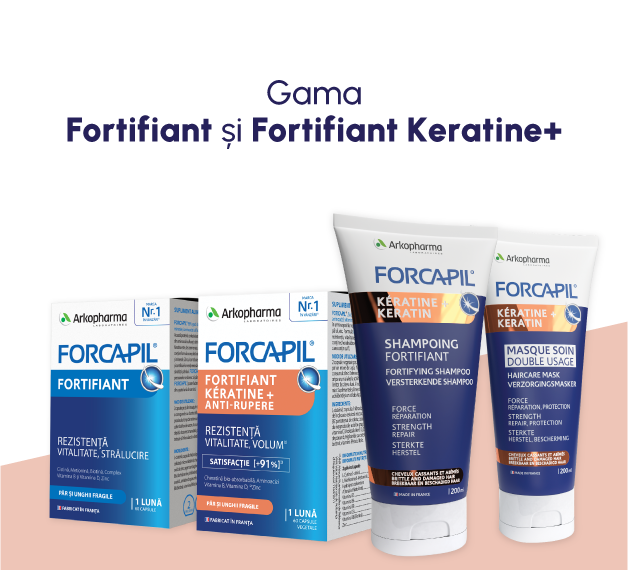 Fortifiere