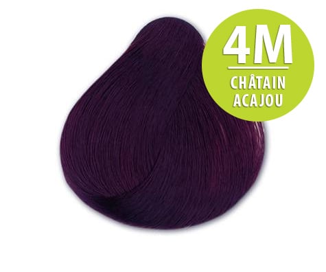 Color & Soin: vopsea de par chatain acajou 4M