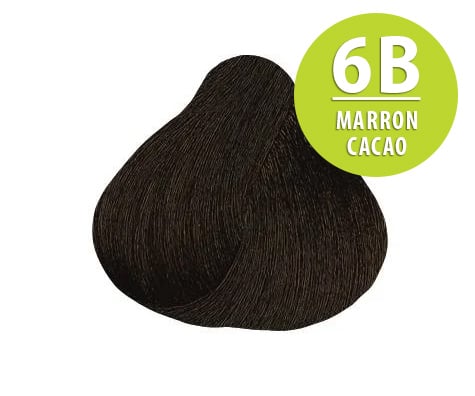 Color & Soin: vopsea de par marron cacao 6B