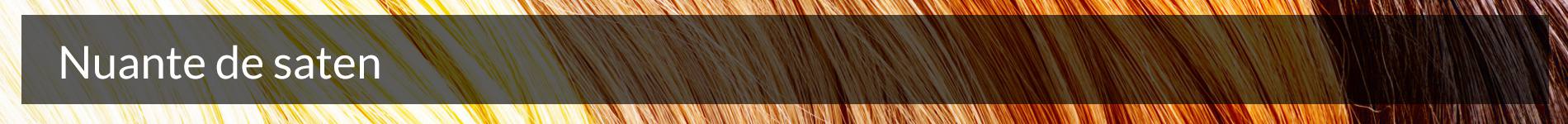 Color & Soin: nuante de saten