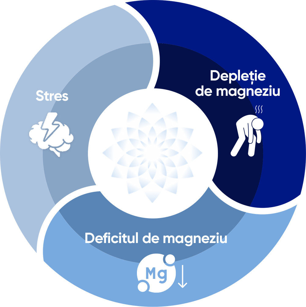 Circle Diagram