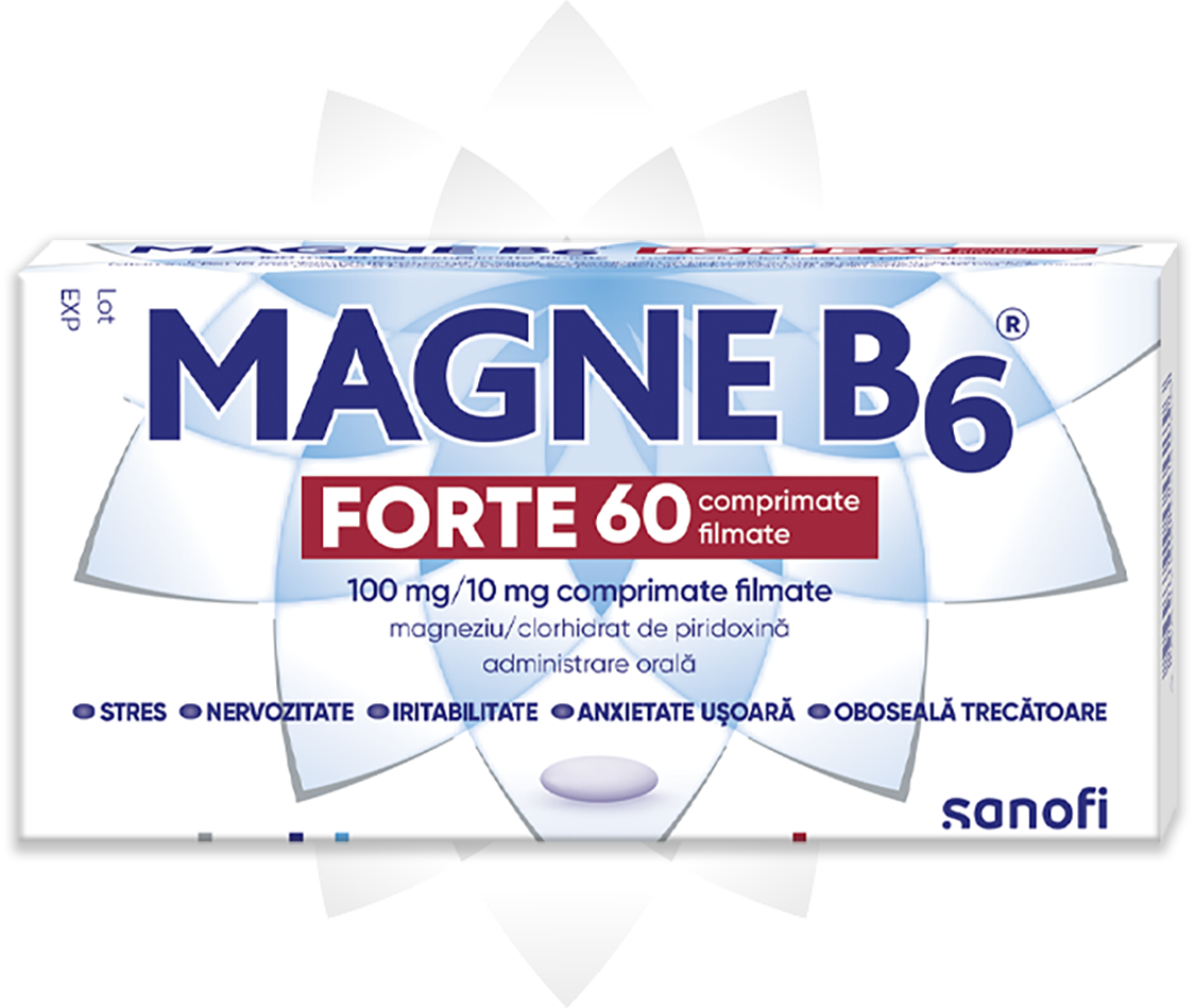 MAGNE B6 Forte Package
