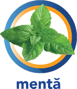 menta
