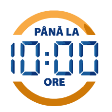 Iconita SVG