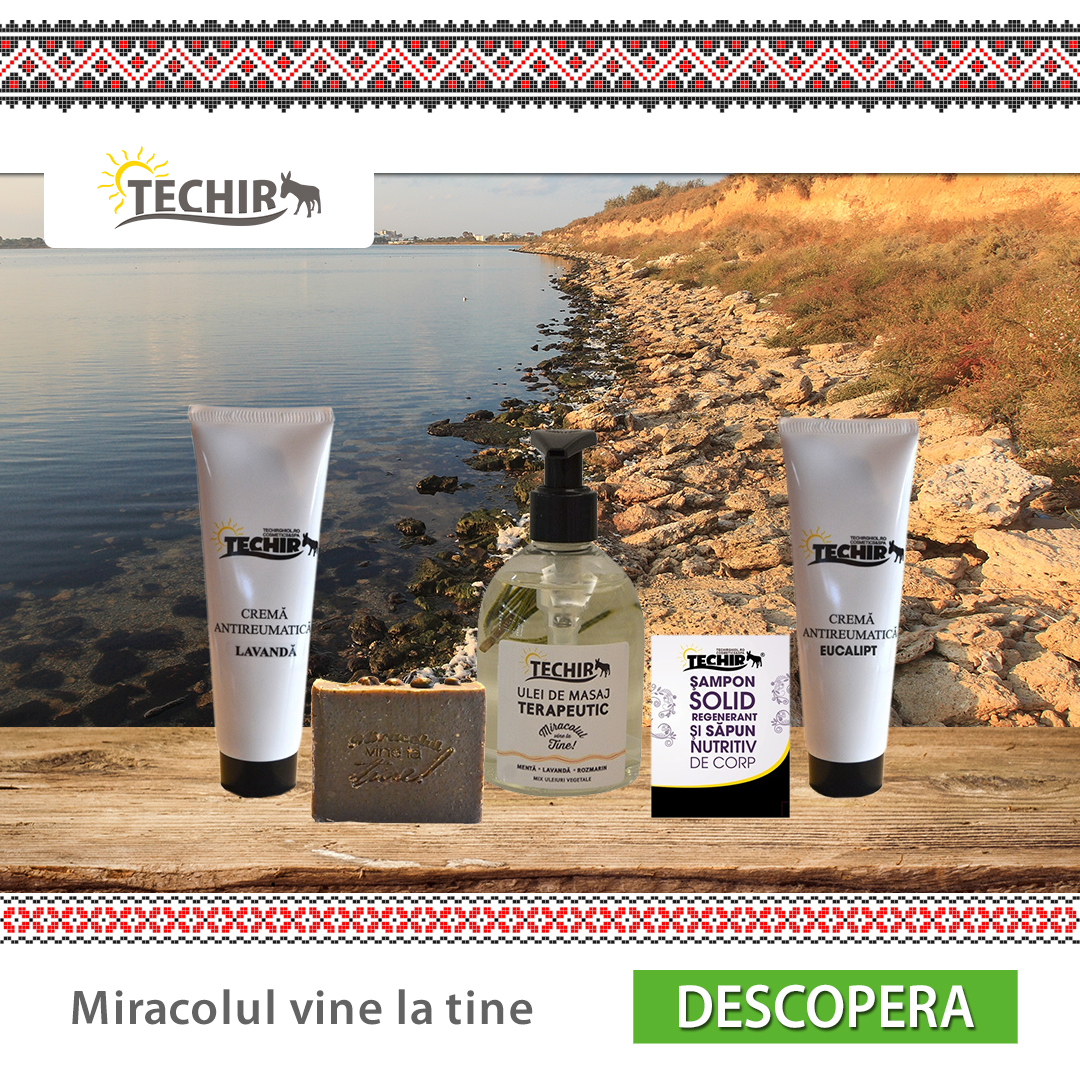 Saptamana Romaneasca - Techir