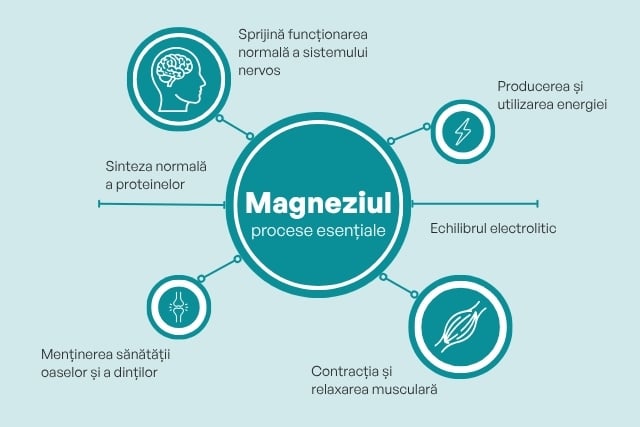 magneziu_beneficii magneziu_beneficii